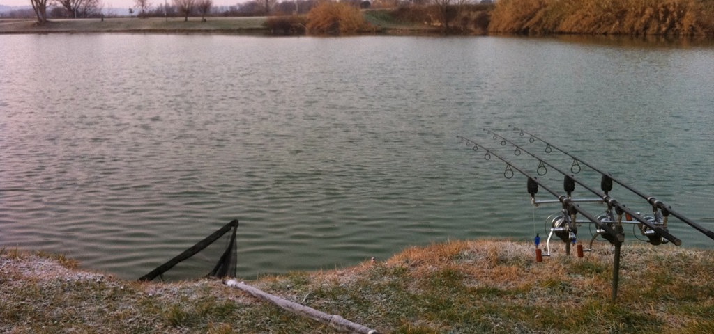 veduta di un lago con canne da pesca in vista durante una giornata autunnale